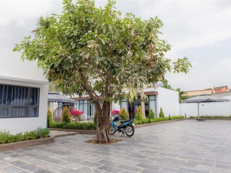 Villa 1579 đường 30/4 Vũng Tàu